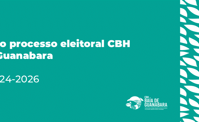 Processo eleitoral