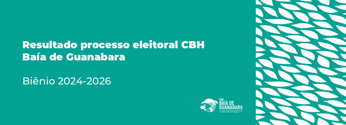 Processo eleitoral